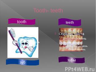 Tooth- teeth