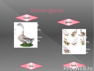Goose-geese