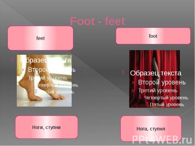 Foot - feet