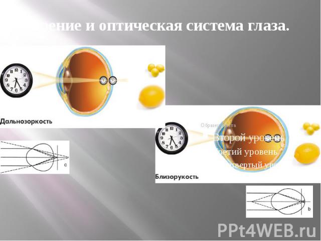 Зрение и оптическая система глаза.