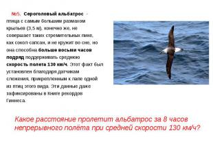 №5. Сероголовый альбатрос  - птица с самым большим размахом крыльев (3,5 м), кон