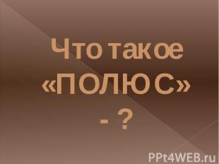 Что такое «ПОЛЮС» - ?