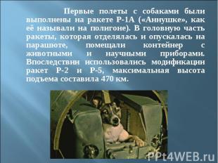 Первые полеты с собаками были выполнены на ракете Р-1А («Аннушке», как её называ