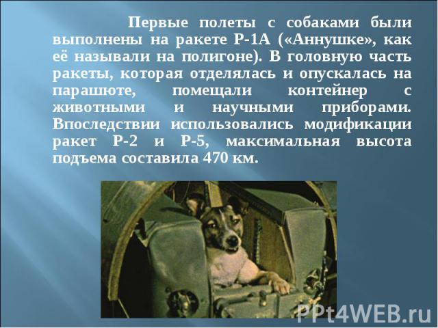 Первые полеты с собаками были выполнены на ракете Р-1А («Аннушке», как её называли на полигоне). В головную часть ракеты, которая отделялась и опускалась на парашюте, помещали контейнер с животными и научными приборами. Впоследствии использовались м…