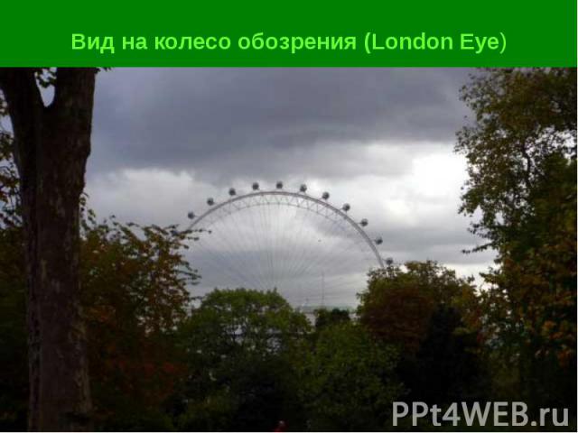 Вид на колесо обозрения (London Eye)