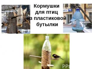 Кормушки для птиц из пластиковой бутылки