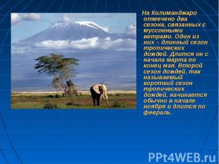 На Килиманджаро отмечено два сезона, связанных с муссонными ветрами. Один из них