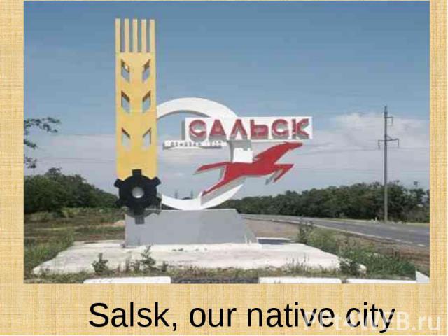 Salsk, our native city