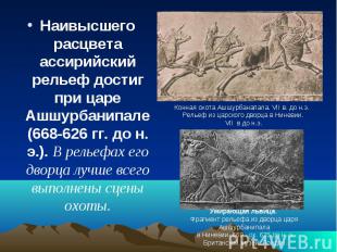 Наивысшего расцвета ассирийский рельеф достиг при царе Ашшурбанипале (668-626 гг