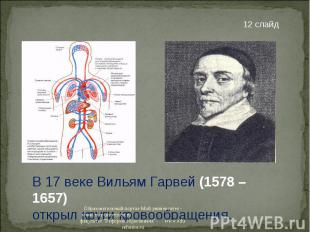 В 17 веке Вильям Гарвей (1578 – 1657)открыл круги кровообращения.