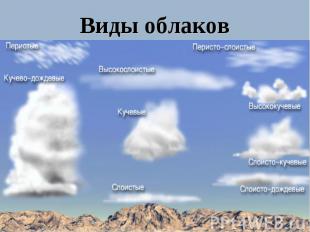 Виды облаков