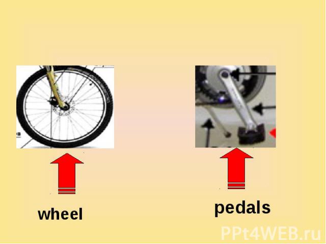 wheel pedals