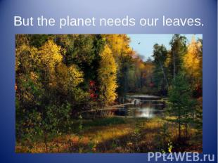 But the planet needs our leaves.