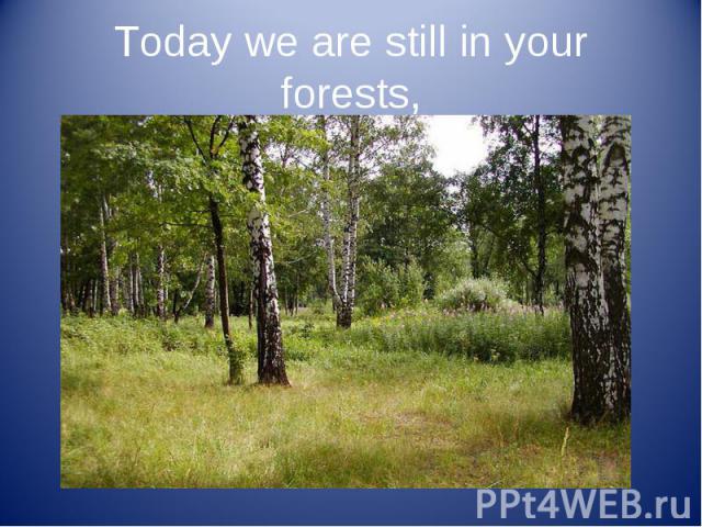 Today we are still in your forests,