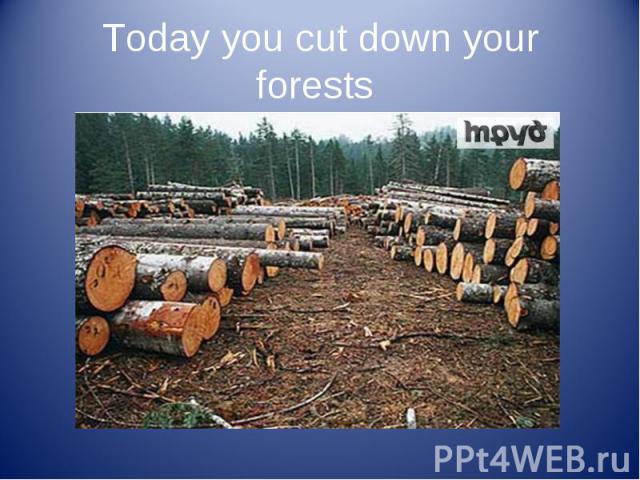 Today you cut down your forests