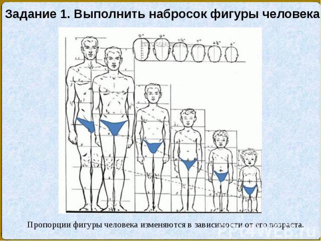 Задание 1. Выполнить набросок фигуры человека. Пропорции фигуры человека изменяются в зависимости от его возраста.