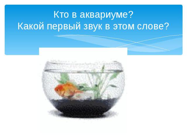 Кто в аквариуме?Какой первый звук в этом слове?