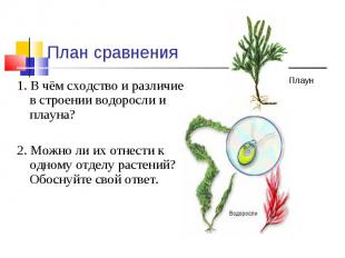 План сравнения 1. В чём сходство и различие в строении водоросли и плауна?2. Мож
