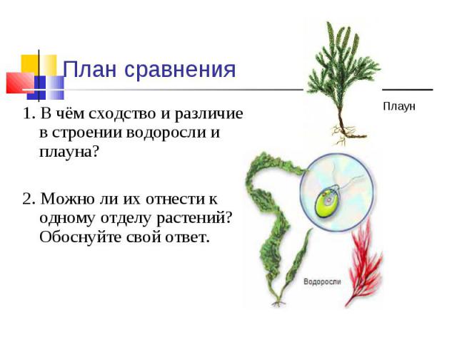 План сравнения 1. В чём сходство и различие в строении водоросли и плауна?2. Можно ли их отнести к одному отделу растений? Обоснуйте свой ответ.