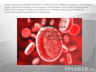 Кровь в организме человека выполняет сложные и многообразные функции. Она снабжа