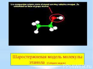 Шаростержневая модель молекулы этанола (Соберите модель)