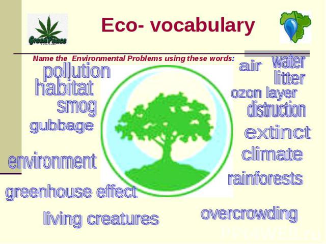 Eco- vocabulary Name the Environmental Problems using these words: