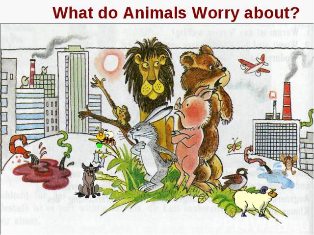 What do Animals Worry about?