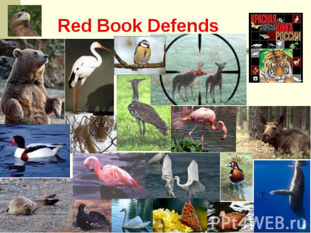 Red Book Defends