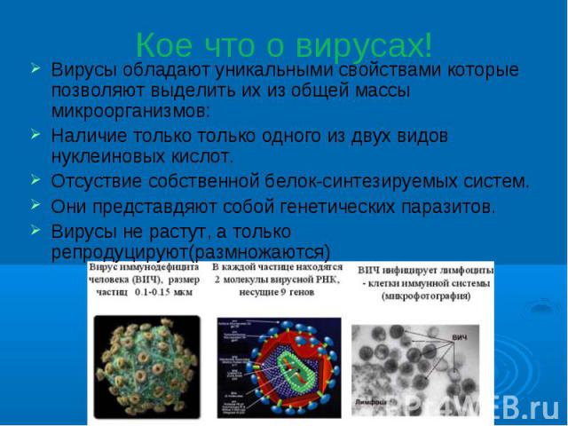 Кое что о вирусах! Вирусы обладают уникальными свойствами которые позволяют выделить их из общей массы микроорганизмов:Наличие только только одного из двух видов нуклеиновых кислот.Отсуствие собственной белок-синтезируемых систем.Они представдяют со…