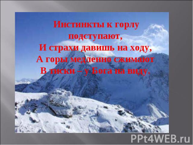 Инстинкты к горлу подступают, И страхи давишь на ходу, А горы медленно сжимают В тиски – у Бога на виду. 