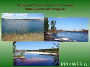 Западно-Сибирская равнина богата поверхностными водами