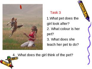 Task 3 1.What pet does the girl look after? 2. What colour is her pet? 3. What d