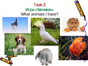 Task 2Игра «Запомни».What animals I have?