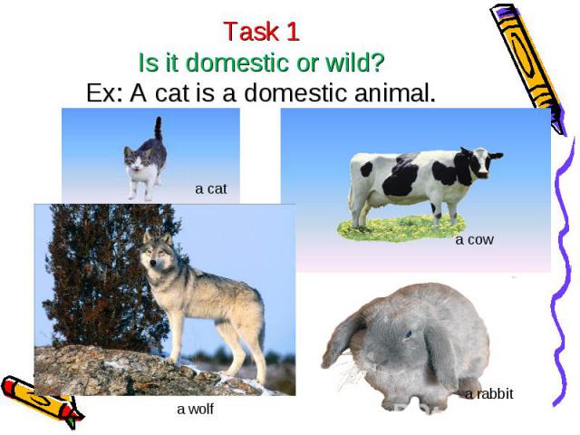 Task 1Is it domestic or wild?Ex: A cat is a domestic animal.