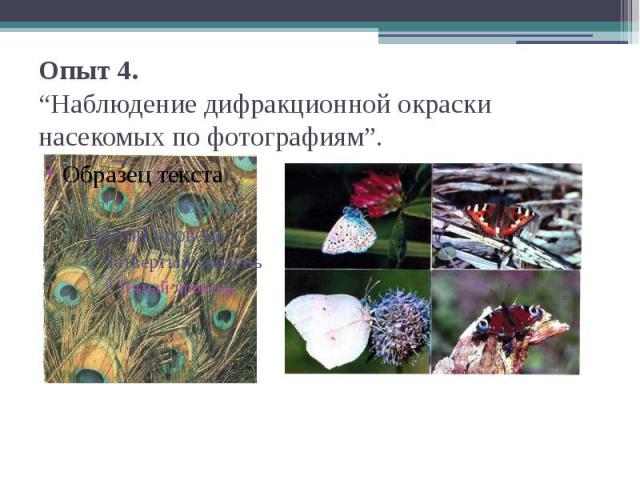Опыт 4.“Наблюдение дифракционной окраски насекомых по фотографиям”.