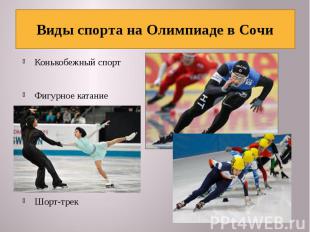 Виды спорта на Олимпиаде в Сочи Конькобежный спортФигурное катаниеШорт-трек