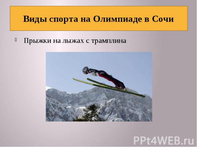 Виды спорта на Олимпиаде в Сочи Прыжки на лыжах с трамплина