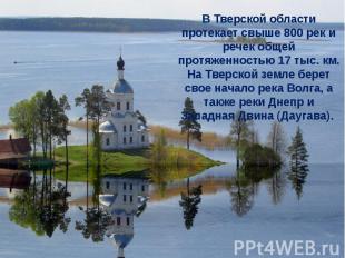 В Тверской области протекает свыше 800 рек и речек общей протяженностью 17 тыс.