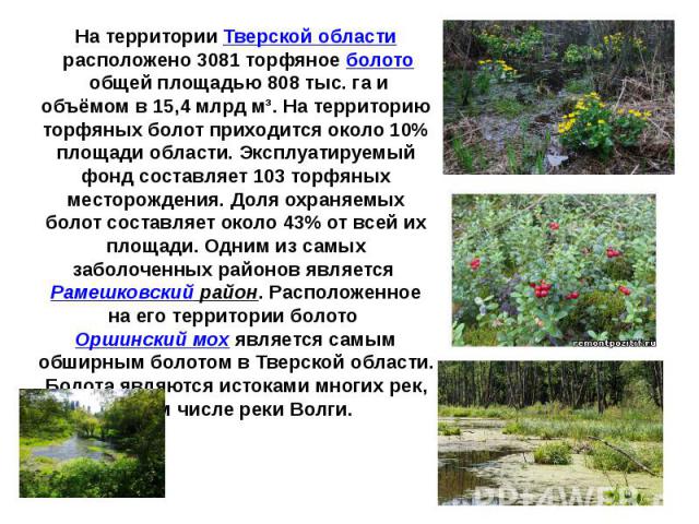На территории Тверской области расположено 3081 торфяное болото общей площадью 808 тыс. га и объёмом в 15,4 млрд м³. На территорию торфяных болот приходится около 10% площади области. Эксплуатируемый фонд составляет 103 торфяных месторождения. Доля …