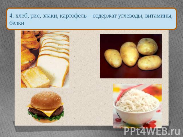 4. хлеб, рис, злаки, картофель – содержат углеводы, витамины, белки