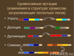 Хромосомные мутации(изменения в структуре хромосом, затрагивающие несколько гено