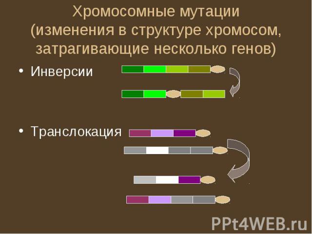 Хромосомные мутации(изменения в структуре хромосом, затрагивающие несколько генов)