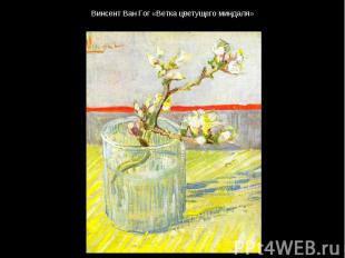 Винсент Ван Гог «Ветка цветущего миндаля»