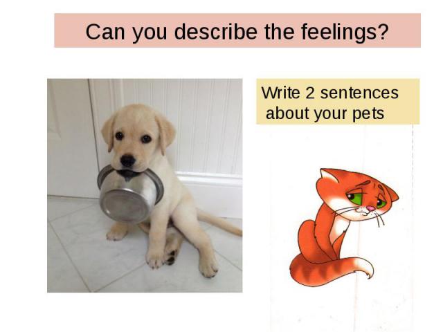 Can you describe the feelings? Write 2 sentences about your pets