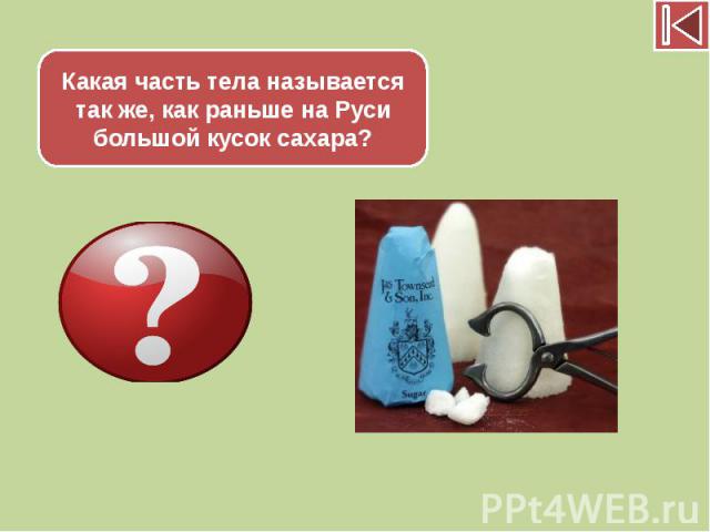 Какая часть тела называется так же, как раньше на Руси большой кусок сахара?