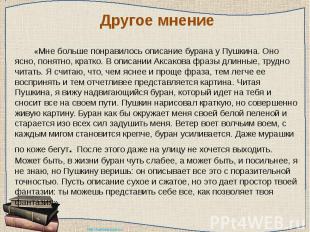 Другое мнение «Мне больше понравилось описание бурана у Пушкина. Оно ясно, понят