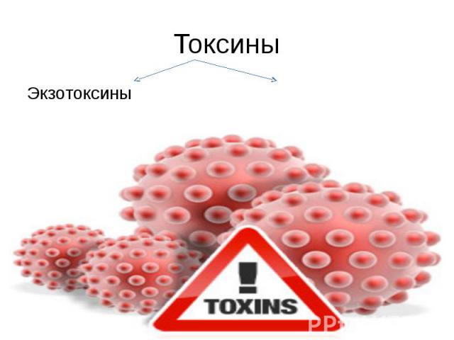 Токсины Экзотоксины Эндотоксины