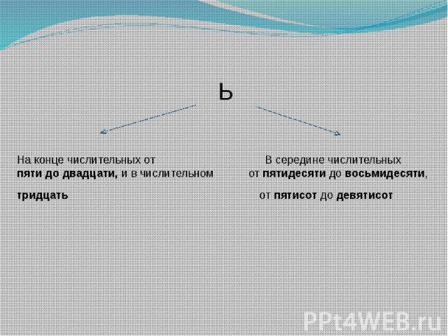 ЬНа конце числительных от В середине числительных пяти до двадцати, и в числительном от пятидесяти до восьмидесяти,тридцать от пятисот до девятисот