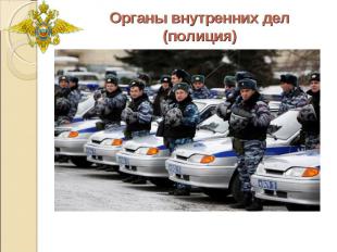 Органы внутренних дел(полиция)