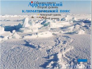 Арктический климатический пояс